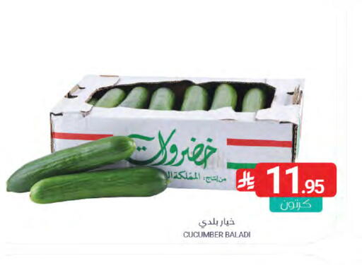Cucumber available at Muntazah Markets in KSA, Saudi Arabia, Saudi - Saihat