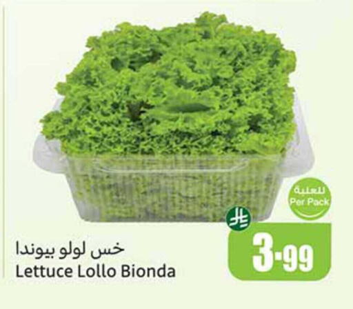 Lettuce available at أسواق عبد الله العثيم in مملكة العربية السعودية, السعودية, سعودية - سكاكا