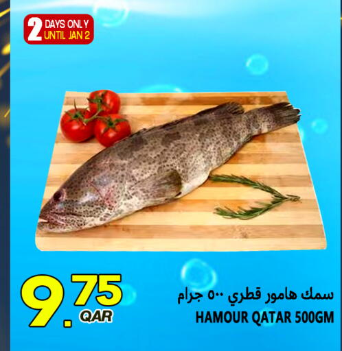 available at قصر الأغذية هايبرماركت in قطر - الدوحة