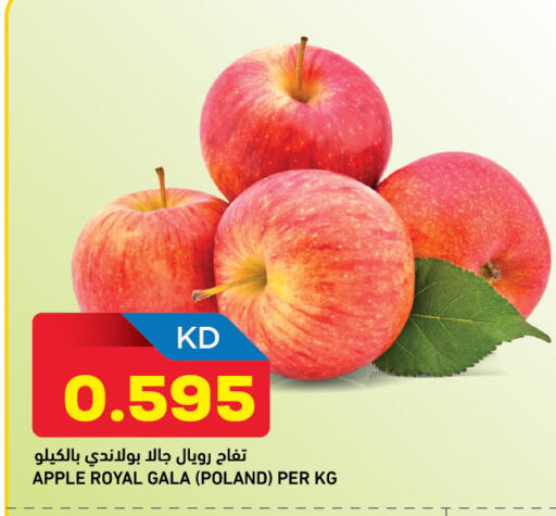 Apple from Poland available at أونكوست in الكويت - محافظة الأحمدي
