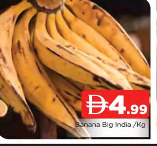 Banana from India available at المدينة in الإمارات العربية المتحدة , الامارات - الشارقة / عجمان