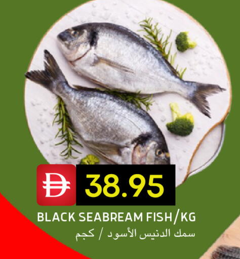 available at سيليكت ماركت in الإمارات العربية المتحدة , الامارات - أبو ظبي