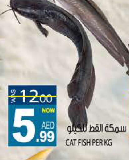 available at Hashim Hypermarket in UAE - Sharjah / Ajman
