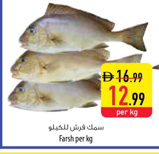 available at السفير ماركت in الإمارات العربية المتحدة , الامارات - أم القيوين‎