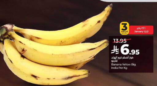 Banana from India available at لولو هايبرماركت in مملكة العربية السعودية, السعودية, سعودية - الأحساء‎