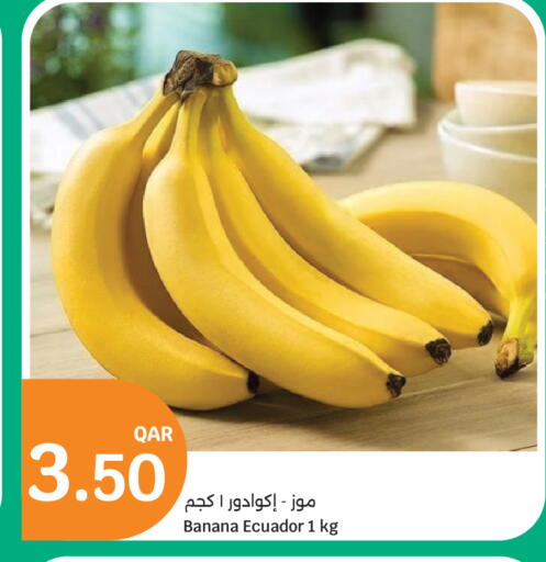 Banana from Ecuador available at City Hypermarket in Qatar - Al Rayyan