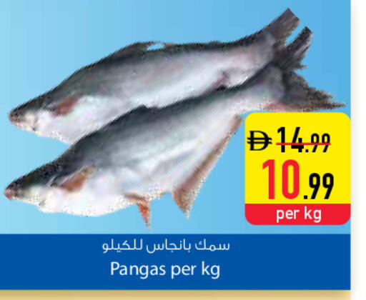 available at Safeer Market in UAE - Dubai