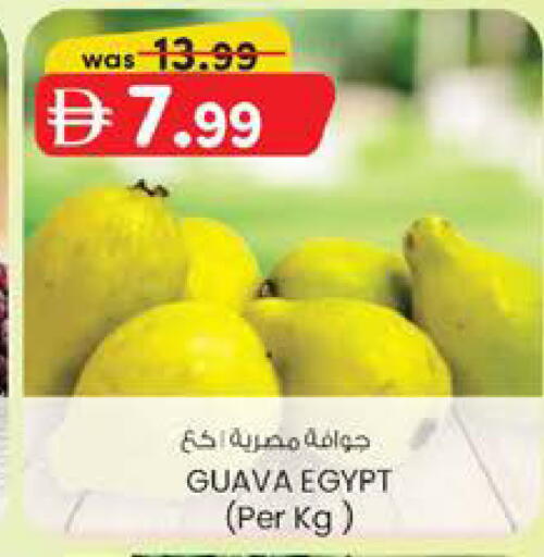Guava from Egypt available at ك. الم. للتجارة in الإمارات العربية المتحدة , الامارات - ٱلْعَيْن‎
