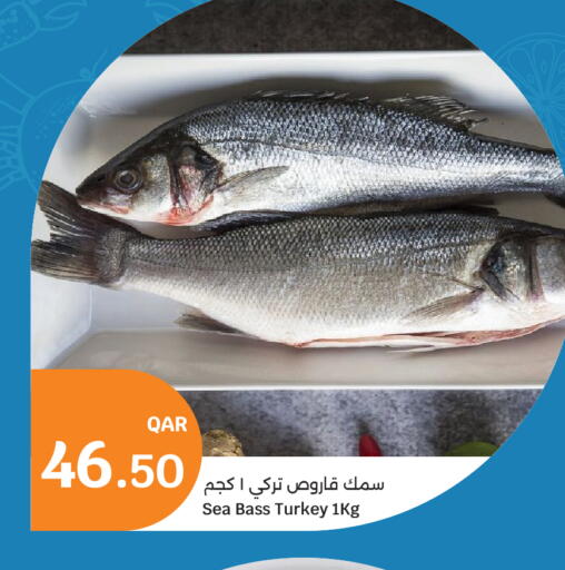 available at سيتي هايبرماركت in قطر - الريان