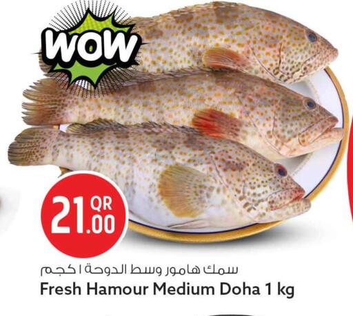 available at سفاري هايبر ماركت in قطر - الوكرة