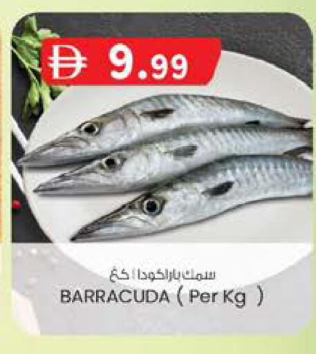 available at الصفا in الإمارات العربية المتحدة , الامارات - أبو ظبي