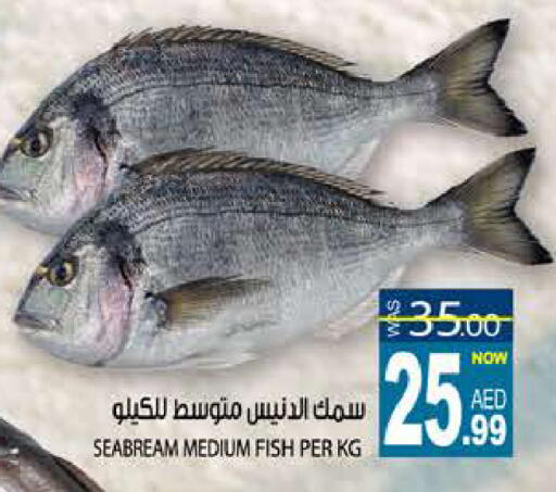 available at هاشم هايبرماركت in الإمارات العربية المتحدة , الامارات - الشارقة / عجمان