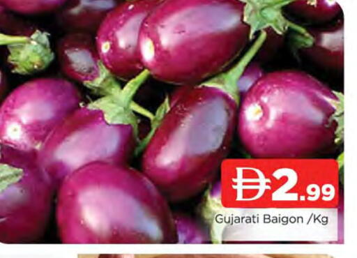 available at المدينة in الإمارات العربية المتحدة , الامارات - الشارقة / عجمان