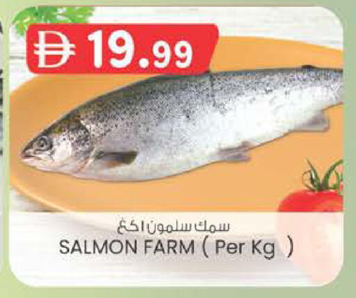 available at K M Trading  in UAE - Dubai