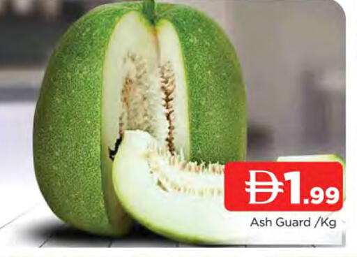 available at المدينة in الإمارات العربية المتحدة , الامارات - الشارقة / عجمان