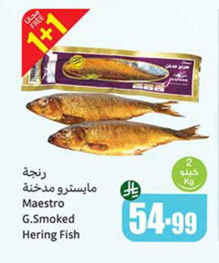 available at Othaim Markets in KSA, Saudi Arabia, Saudi - Qatif
