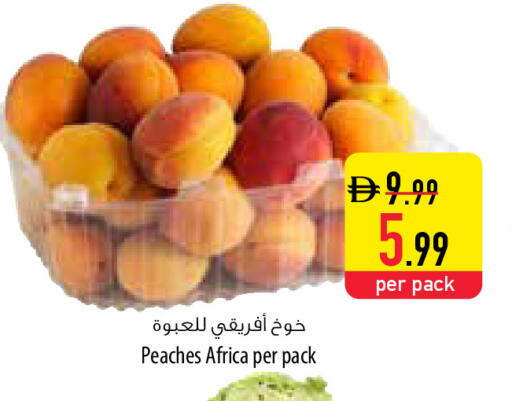 available at السفير ماركت in الإمارات العربية المتحدة , الامارات - ٱلْفُجَيْرَة‎