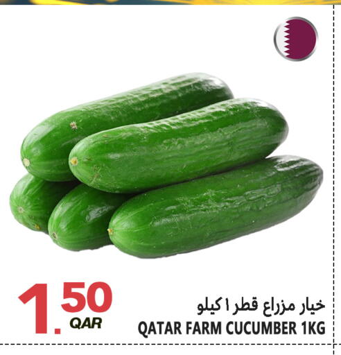 Cucumber from Qatar available at قصر الأغذية هايبرماركت in قطر - الخور