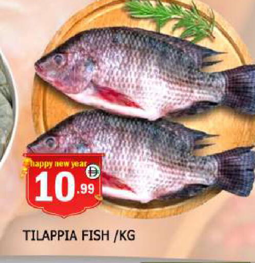 available at AL MADINA in UAE - Sharjah / Ajman