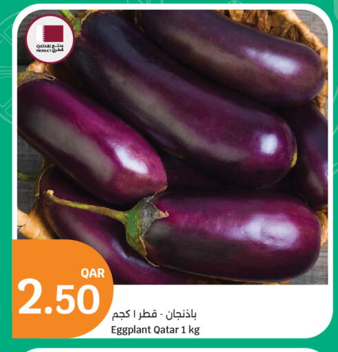 Eggplant from Qatar available at سيتي هايبرماركت in قطر - الشمال