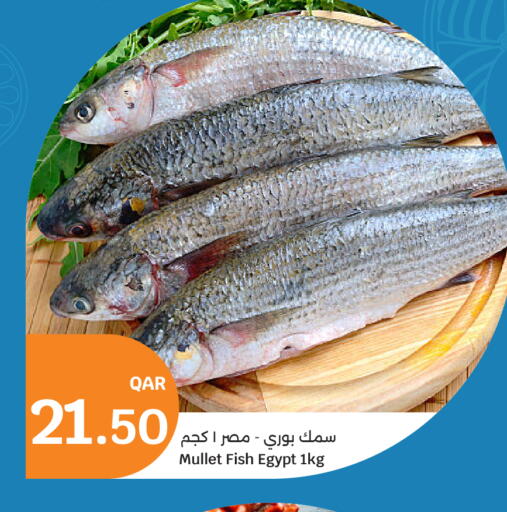 available at City Hypermarket in Qatar - Al Wakra