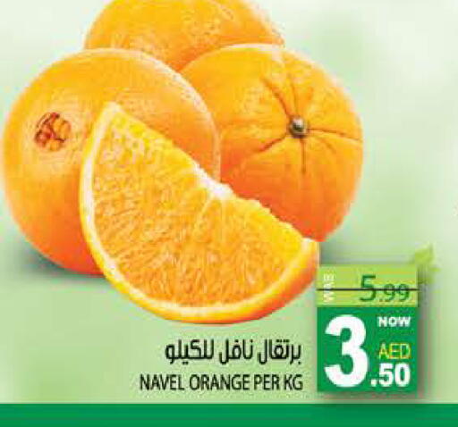 Orange available at هاشم هايبرماركت in الإمارات العربية المتحدة , الامارات - الشارقة / عجمان