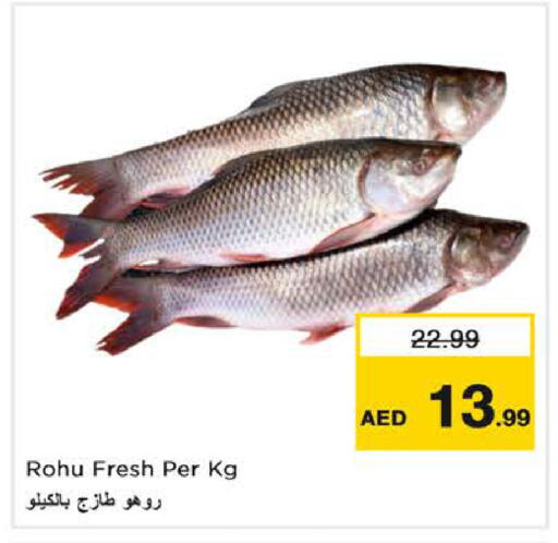 available at Nesto Hypermarket in UAE - Ras al Khaimah