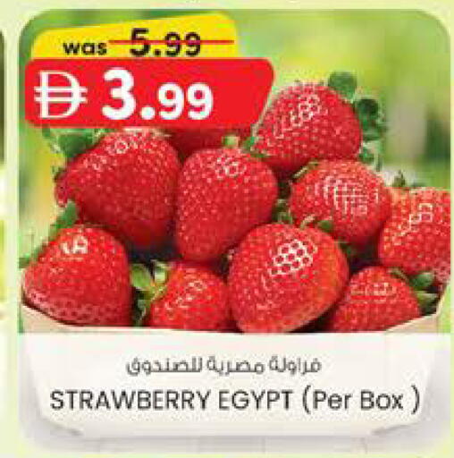 Strawberry from Egypt available at الصفا in الإمارات العربية المتحدة , الامارات - ٱلْعَيْن‎