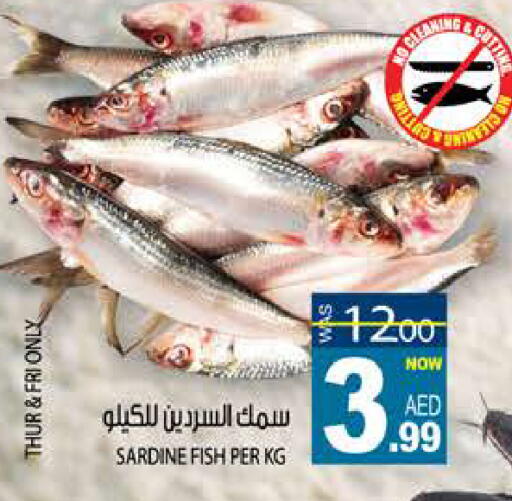 available at هاشم هايبرماركت in الإمارات العربية المتحدة , الامارات - الشارقة / عجمان