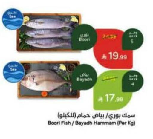 available at هايبر بنده in مملكة العربية السعودية, السعودية, سعودية - الرس