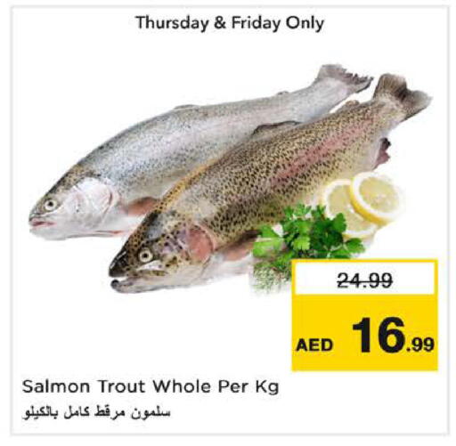 available at Nesto Hypermarket in UAE - Ras al Khaimah