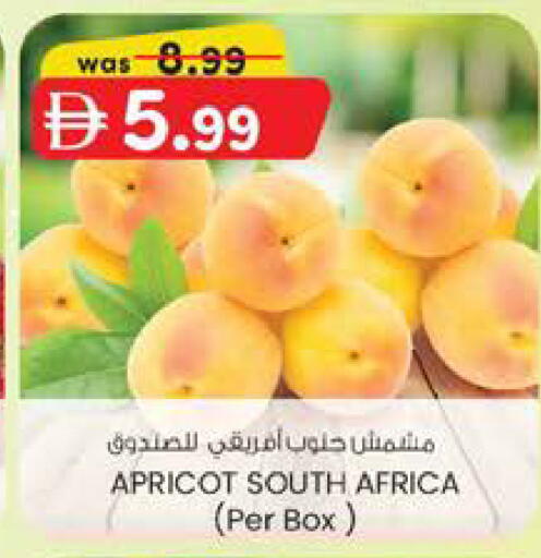 Apricot from South Africa available at ك. إم. هايبرماركت in الإمارات العربية المتحدة , الامارات - الشارقة / عجمان