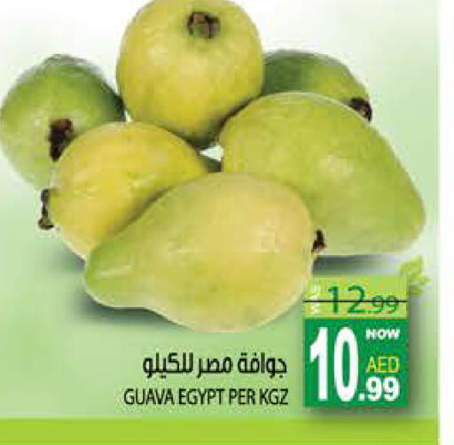 Guava from Egypt available at هاشم هايبرماركت in الإمارات العربية المتحدة , الامارات - الشارقة / عجمان