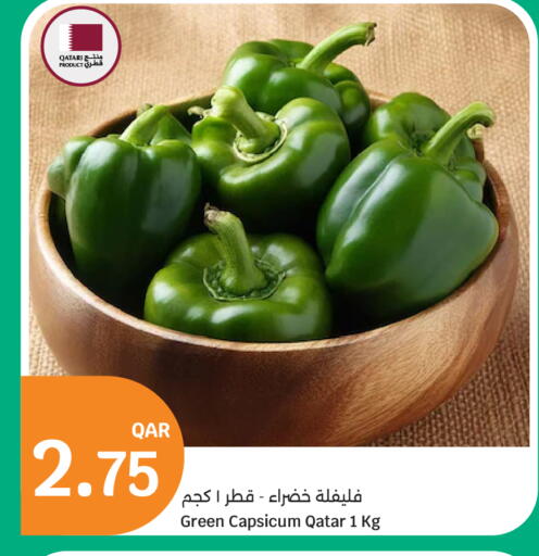 Green Capsicum from Qatar available at سيتي هايبرماركت in قطر - الشمال