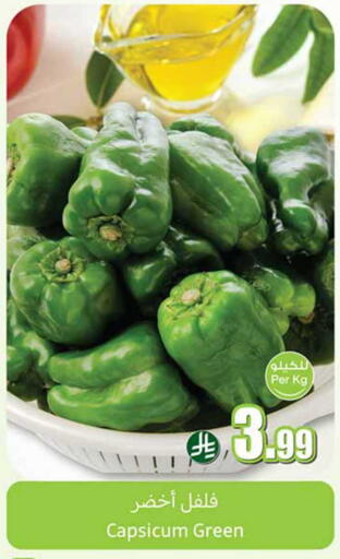 Capsicum available at أسواق عبد الله العثيم in مملكة العربية السعودية, السعودية, سعودية - سكاكا