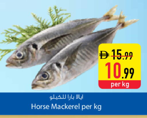 available at Safeer Market in UAE - Dubai