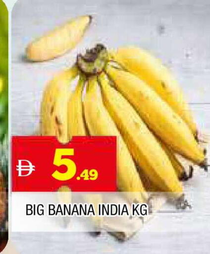 Banana available at المدينة in الإمارات العربية المتحدة , الامارات - الشارقة / عجمان