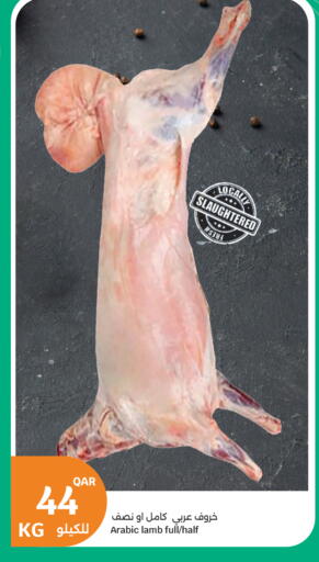 available at City Hypermarket in Qatar - Umm Salal