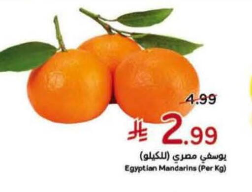 from Egypt available at Hyper Panda in KSA, Saudi Arabia, Saudi - Khamis Mushait