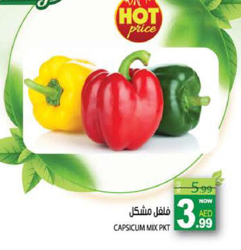 Capsicum available at هاشم هايبرماركت in الإمارات العربية المتحدة , الامارات - الشارقة / عجمان