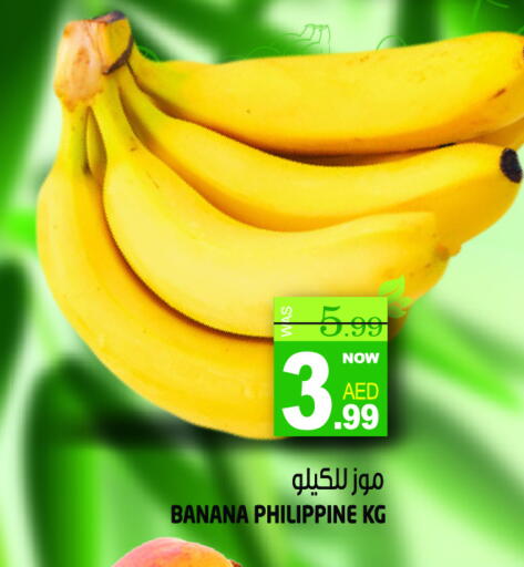 Banana from Philippines available at هاشم هايبرماركت in الإمارات العربية المتحدة , الامارات - الشارقة / عجمان