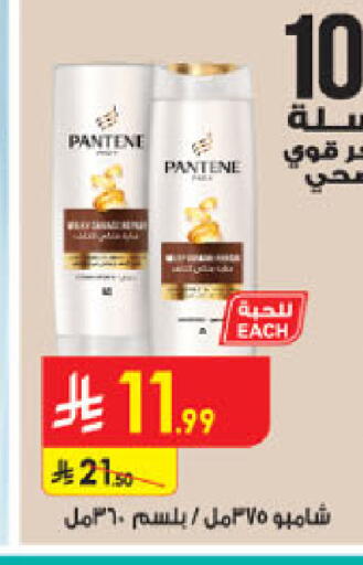 available at الدانوب in مملكة العربية السعودية, السعودية, سعودية - تبوك