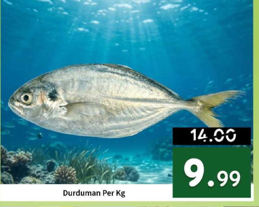 available at ROYAL GULF HYPERMARKET LLC in UAE - Abu Dhabi