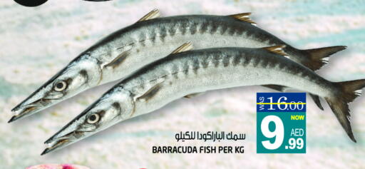 available at Hashim Hypermarket in UAE - Sharjah / Ajman