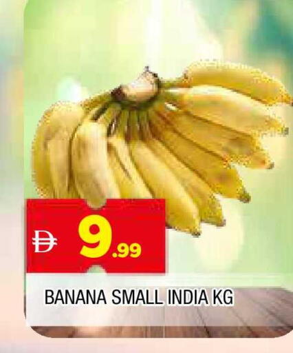 Banana available at المدينة in الإمارات العربية المتحدة , الامارات - الشارقة / عجمان