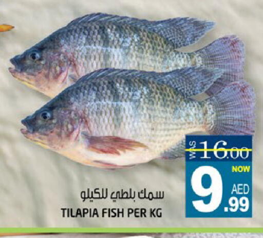 available at هاشم هايبرماركت in الإمارات العربية المتحدة , الامارات - الشارقة / عجمان