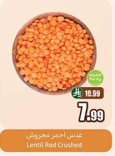 available at أسواق عبد الله العثيم in مملكة العربية السعودية, السعودية, سعودية - الرياض