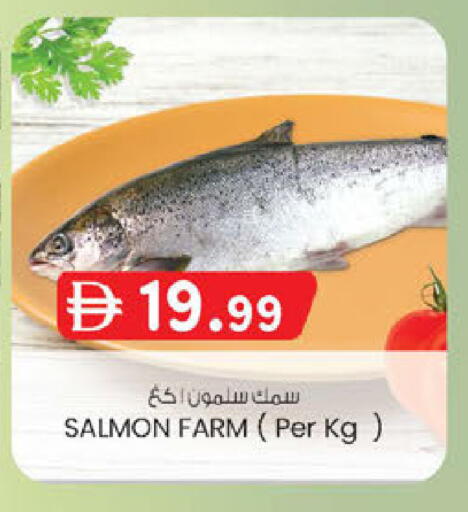 available at صفا اكسبريس سوبرماركت in الإمارات العربية المتحدة , الامارات - أبو ظبي