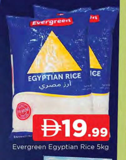 available at المدينة in الإمارات العربية المتحدة , الامارات - الشارقة / عجمان