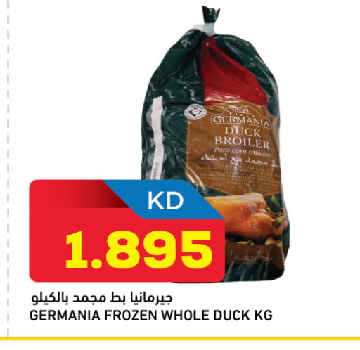 available at أونكوست in الكويت - محافظة الجهراء